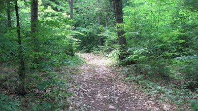 0 Meadow Rd unit 1214505, Stow, ME 04037 - photo 5