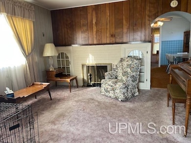 56401 Laurium St, Calumet, MI 49913 - photo 5