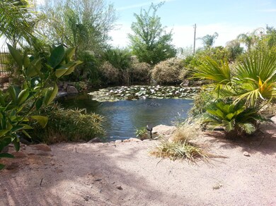 20140603_093904