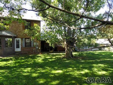 Shaded North facing back yard