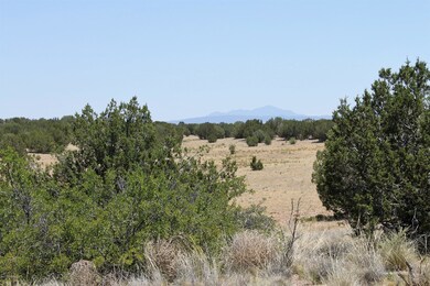 IMG_3346