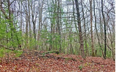 Additional View