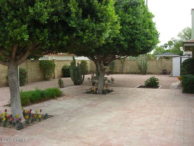Backyard patio