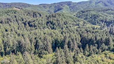 Yachats River Rd-6