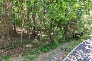 372 Kenway Loop, Mooresville, NC 28117 - photo 6