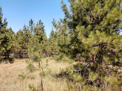 L2B1 N Sheep Springs Rd, Athol, ID 83801 - photo 6