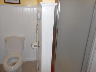 Master bath shower.
