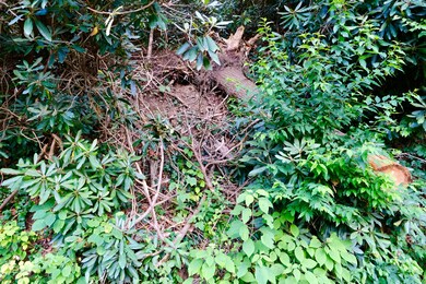 Co Rd 1701, Hendersonville, NC 28792 - photo 5