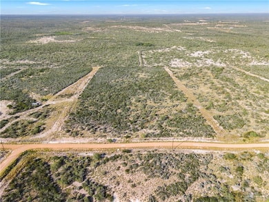 130 Paseo de La Mulada Rd, Rio Grande City, TX 78582 - photo 2