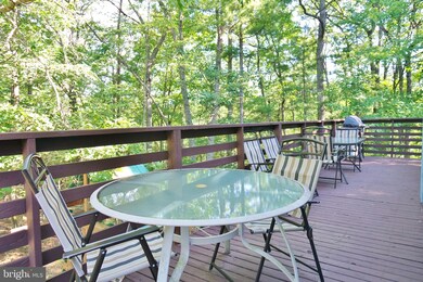 233 Brawley Ln, Basye, VA 22810 - photo 4