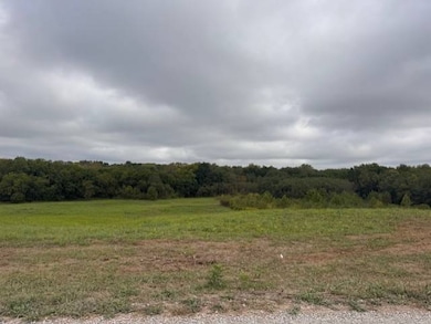 0 Hwy 33 & Se Ketchum Rd, Maysville, MO 64469 - photo 3