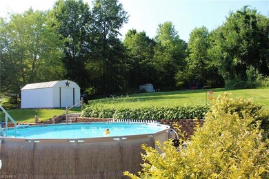 Above ground pool overlooking back yard with two o