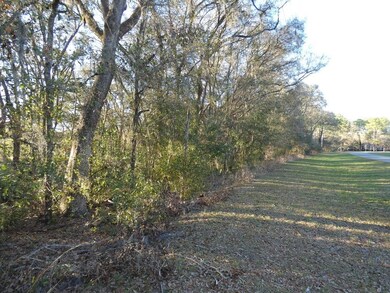 00 SW 215th Court Rd, Dunnellon, FL 34431 - photo 3