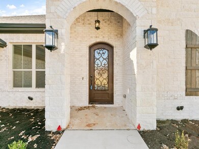 1144 Horizon Trace Dr, Boyd, TX 76023 - photo 4