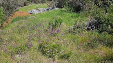 1641 Hidden Bridge Rd, El Dorado Hills, CA 95762 - photo 4