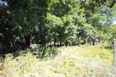 41 Woodville St, Boston, MA 02119 - photo 4