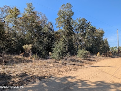 0070-0330 California Ave, Interlachen, FL 32148 - photo 4