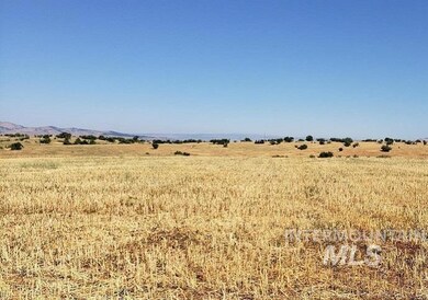 1324 Highway 95, Mesa, ID 83643 - photo 2