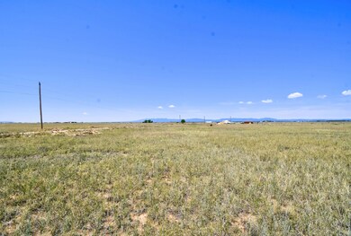 0 Cricket Ln, Estancia, NM 87016 - photo 6