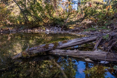Nhn Kelly Mountain Rd, Columbia Falls, MT 59912 - photo 6