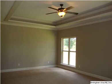 Large master bedroom with trey ceiling.