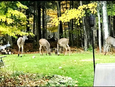 Screenshot_20251114_181042_Airbnb