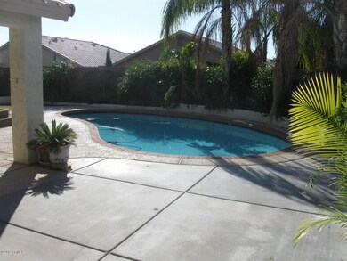 Resurfaced Pool