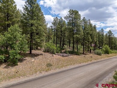 966 Starling Cir, Pagosa Springs, CO 81147 - photo 6