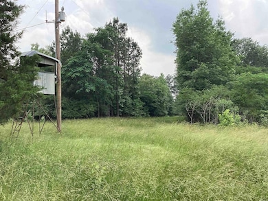 1006 Hempstead 24 Rd, Blevins, AR 71825 - photo 2