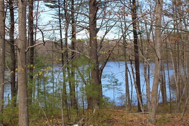 Lake across road