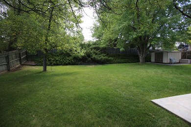 Back Yard V2