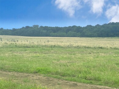 Lot 10 Chandler Dr, Eureka, TX 75109 - photo 6