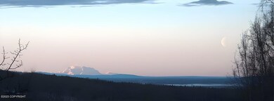 Denali_panorama_2