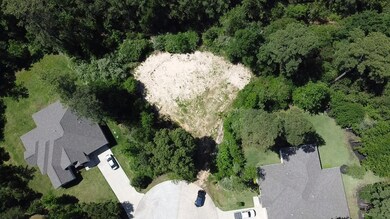 25002 Rhett Butler Ct, Tomball, TX 77375 - photo 4