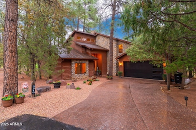 2519 E Scarlet Bugler Cir, 04-18 - 01 (2