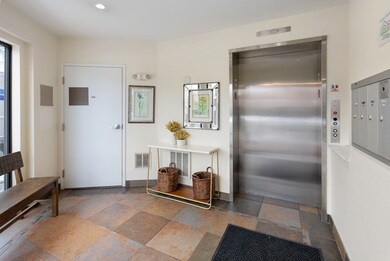 55 Station St unit 2A, Brookline, MA 02445 - photo 3