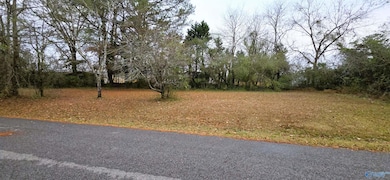 0.40 Dale St, Glencoe, AL 35905 - photo 3