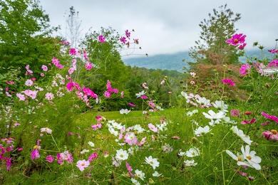 443 Back Valley Rd, Chickamauga, GA 30707 - photo 7