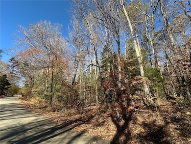 110 Watt Rogers Rd, Pelzer, SC 29669 - photo 6