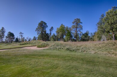 1701 S Gambel Oak Rd, Show Low, AZ 85901 - photo 7