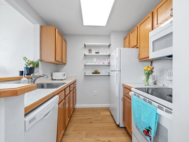 Glass Factory Condominiums unit 404, Cambridge, MA 02141 - photo 7