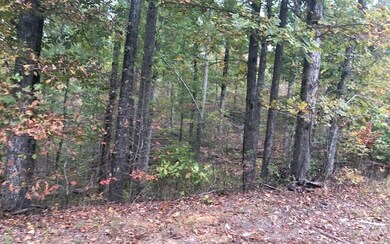 861 Trinton Dr, Ranger, GA 30734 - photo 2