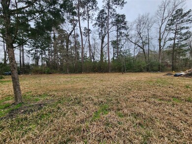 6 Lake Dr, Conroe, TX 77384 - photo 6