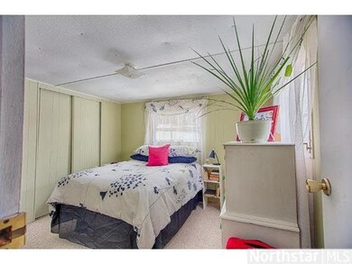 135 E Main, Isle, MN 56342 - photo 3