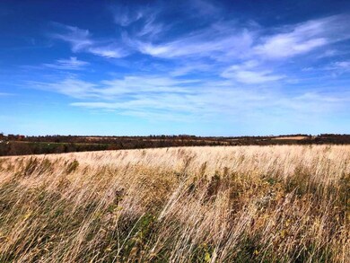 98.33 +/- acres Pikes Peak Rd, Potosi, WI 53820 - photo 6