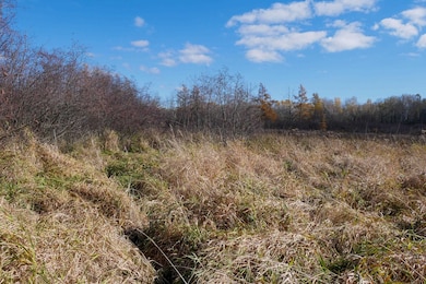 +/-23 Acres Tower Ave, Medford, WI 54451 - photo 7