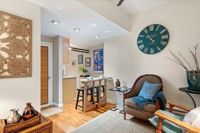 20 Concord Ave unit B, Cambridge, MA 02138 - photo 4