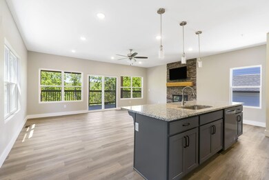 48 David Shawn Dr unit Lot  169, Branson, MO 65616 - photo 6