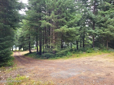 4153 Lutak Rd, Haines, AK 99827 - photo 7