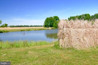 6542 Rock Hall Rd, Rock Hall, MD 21661 - photo 7